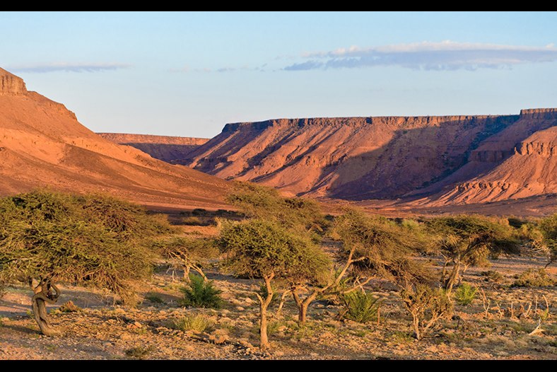 Les Terres de l'Adrar 01